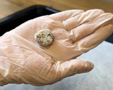 【犬用】おからと黒ゴマの腸活クッキー作り方5写真