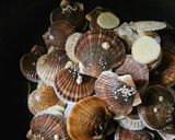 稚貝の酒蒸し（バター醤油風味）作り方3写真