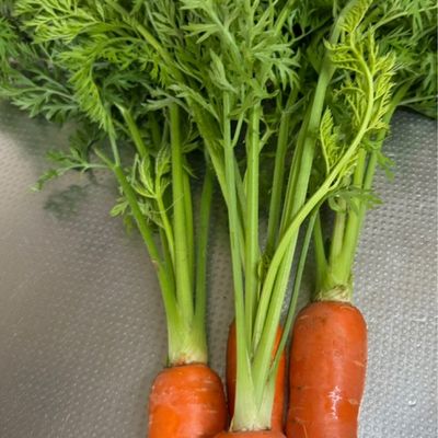 人参の葉っぱのサクッとかき揚げ♪ by ミント15♪ 【クックパッド