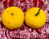 柚子茶(非加熱)作り方1写真