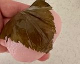 簡単！かしら道明寺粉で作る道明寺作り方18写真