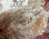 とりささみカラッと揚げ作り方3写真