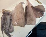 イカの一夜干しのマリネ作り方2写真