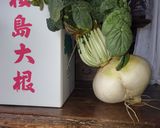 器も食べられる桜島大根カレー作り方1写真