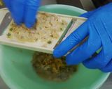 卵🥚を使ったかきの味噌汁作り方1写真