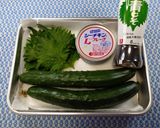 信州産♪きゅうり青紫蘇シーチキン和え🥒✨作り方1写真