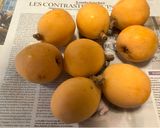 季節の味♪枇杷のコンポート作り方1写真