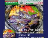 うち☆揚げ浸し・焼き浸し・煮浸しに玉葱❤️作り方15写真