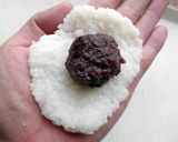 白米・ご飯で作る簡単三色おはぎ作り方5写真