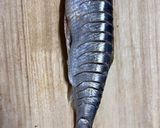 ニシンとキノコのグリル作り方1写真