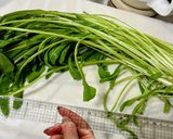 四毒抜き 青菜の胡麻和え作り方1写真