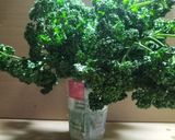 ♻️保存方法｜パセリ🌿ロス削減術｜雑学メモ等♪作り方7写真