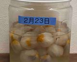 ライチ（レイシ）のシロップ作り方3写真