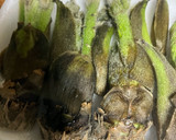 簡単　タラの芽たらこ和え作り方1写真