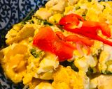 鶏肉のしょうが湯ゴーヤーチャンプルー作り方3写真