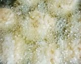 ヘルシーなキャベツだらけの肉団子！作り方5写真