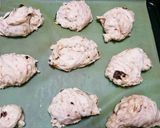 ソルティライチとプルーンのパン作り方9写真