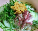 きゅうりのサッパリ味噌和え作り方1写真