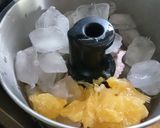 フープロde甘夏シャーベット作り方2写真