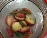 桃の酵素シロップ作り方4写真