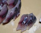 アジの酢じめと貝割れ大根作り方6写真