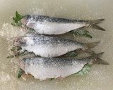 いわしの梅大葉挟み焼き 簡単！美味しい！作り方4写真