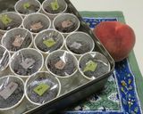 紙コップで作る☆吉野本葛入り☆簡単水羊羹作り方8写真