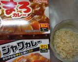 最貧の具なしカレーDX作り方1写真