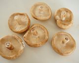 簡単おいし～！ガリバタ椎茸作り方1写真