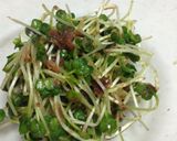 あと一品に簡単！カイワレとかつお節の和物作り方3写真