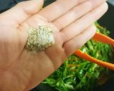 ☆ピーマン大量消費☆さっぱりきんぴら作り方5写真
