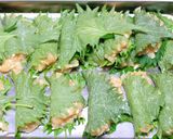 鶏胸の塩麹青じそ巻き揚げ作り方2写真