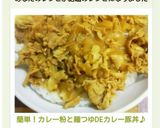 簡単！カレー粉と麺つゆDEカレー豚丼♪作り方8写真