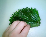 大葉の千切り裏ワザ作り方1写真