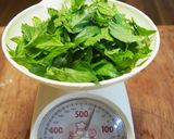 ミントの大量消費に！！ミントジュース作り方1写真