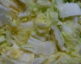 白菜とゴボウと鶏むね肉の味噌煮～中華煮～作り方1写真
