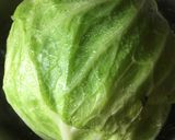キャベツも冷凍で保存作り方3写真