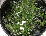 中華風ジュレとかいわれのぶっかけ素麺作り方3写真
