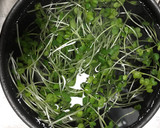 中華風ジュレとかいわれのぶっかけ素麺作り方3写真