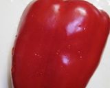 ペースト不要！カレー研究会グリーンカレー作り方28写真