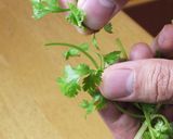 岡パクヒート®作り方9写真