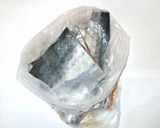 魚・さわらの練りゴマ味噌焼き♪作り方4写真