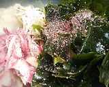 中華風ナムル作り方1写真