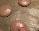 しっとり 美味しい チョコ マカロン作り方16写真