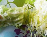 ひんやり水晶鶏のたっぷり野菜*薬味乗せ作り方6写真