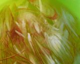 ひんやり水晶鶏のたっぷり野菜*薬味乗せ作り方9写真