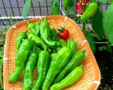 おろしたっぷり♡鶏肉のみぞれ煮作り方7写真