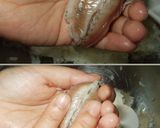鯵寿司作り方10写真