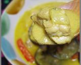 ペースト不要！カレー研究会グリーンカレー作り方43写真