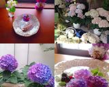 あじさいの寒天ゼリー作り方5写真